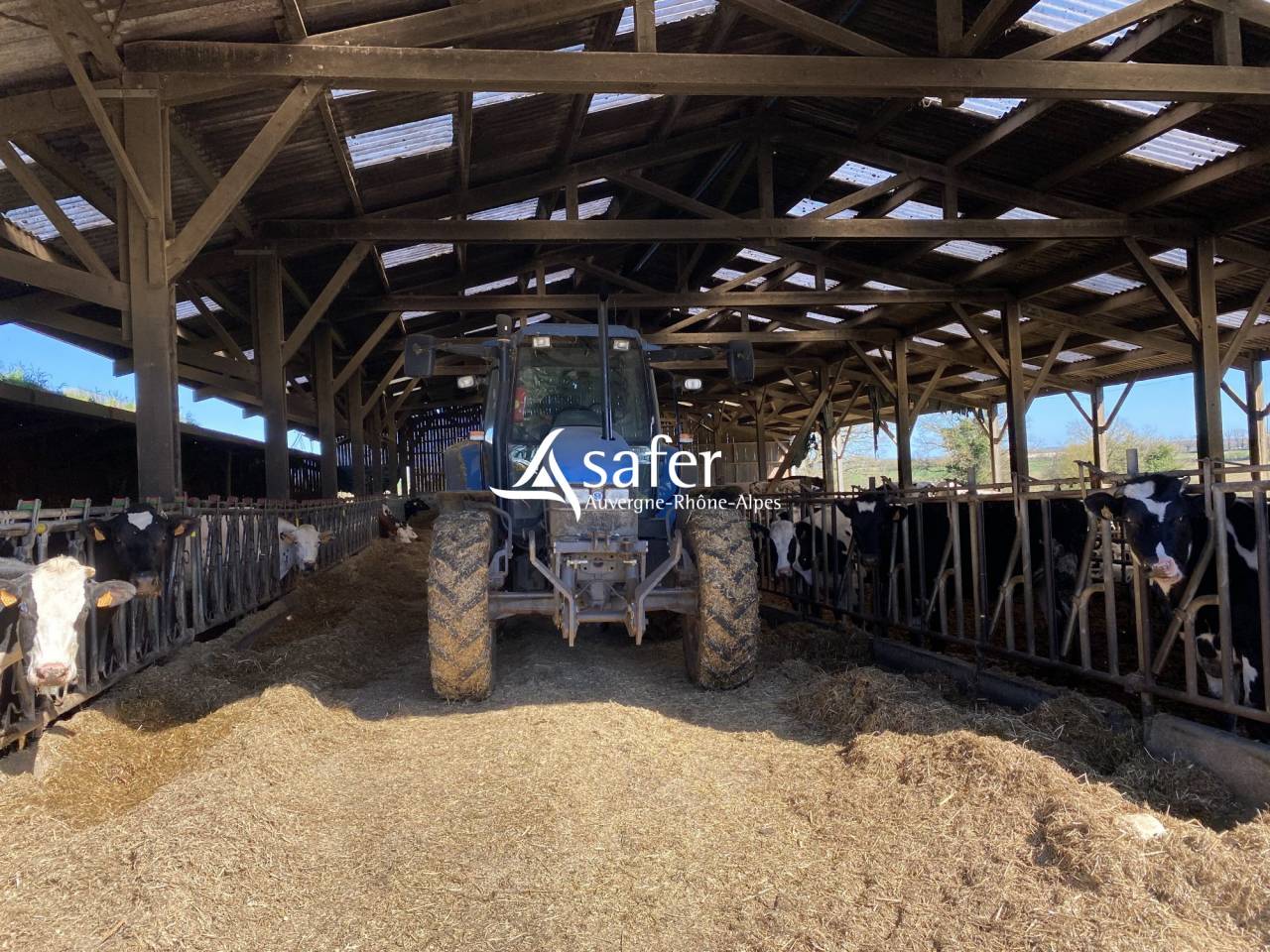Sheep farm  Allier