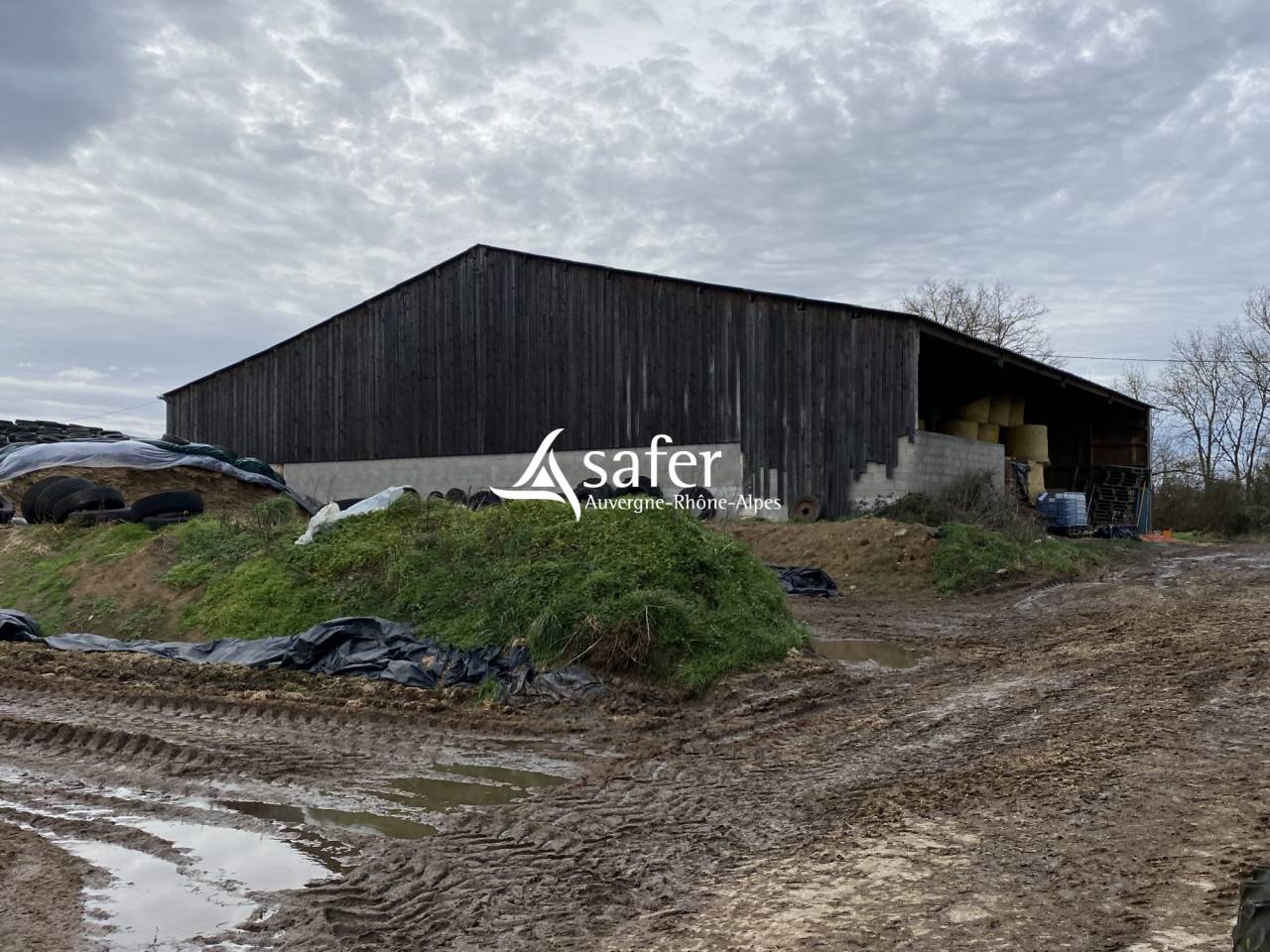 Sheep farm  Allier