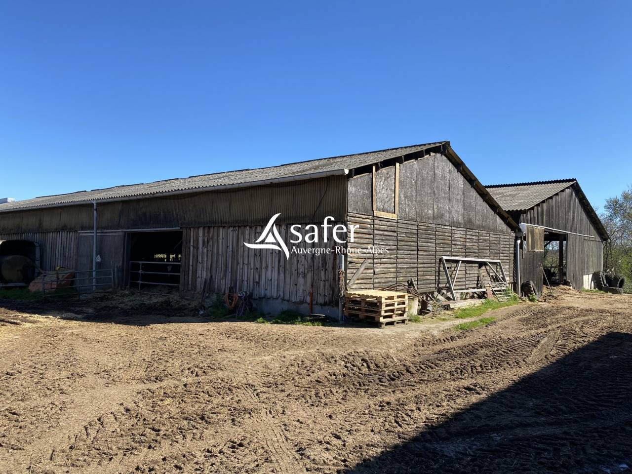 Sheep farm  Allier