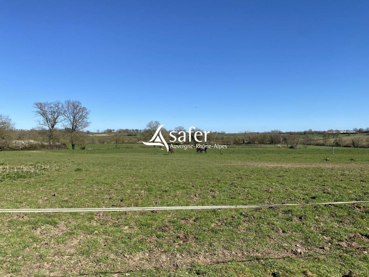 Sheep farm  Allier