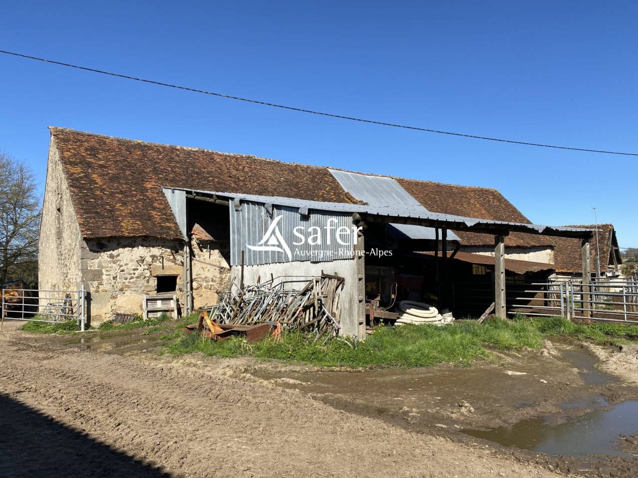 Sheep farm  Allier
