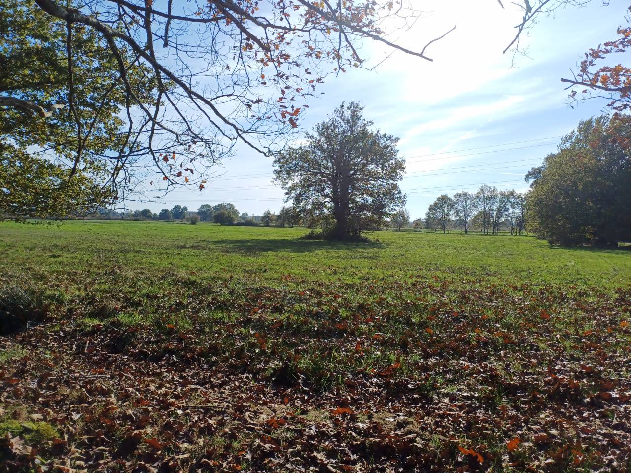 Equestrian property  Dordogne