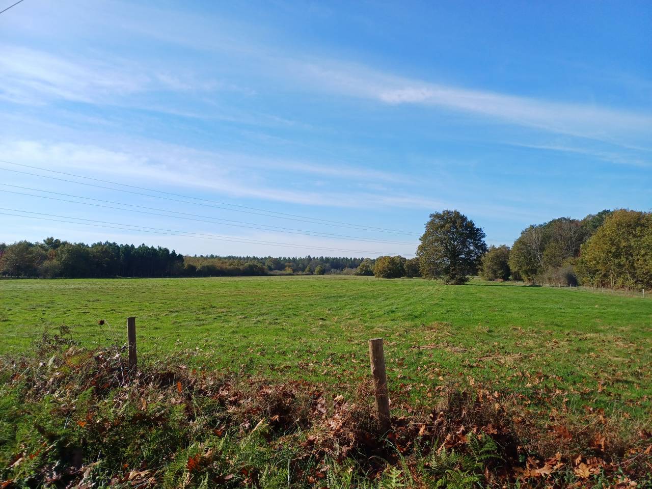Equestrian property  Dordogne