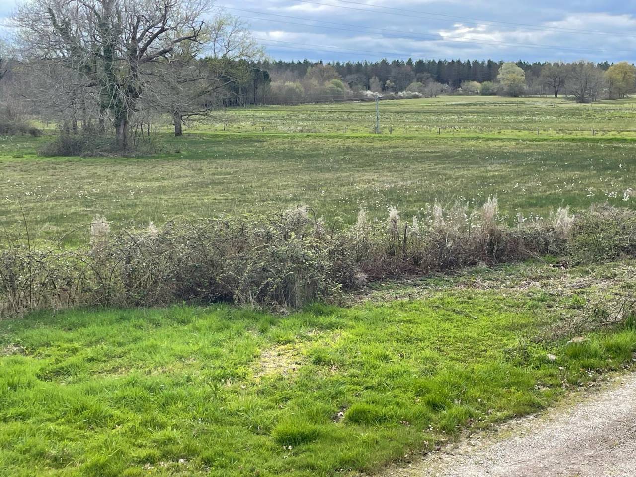 Equestrian property  Dordogne