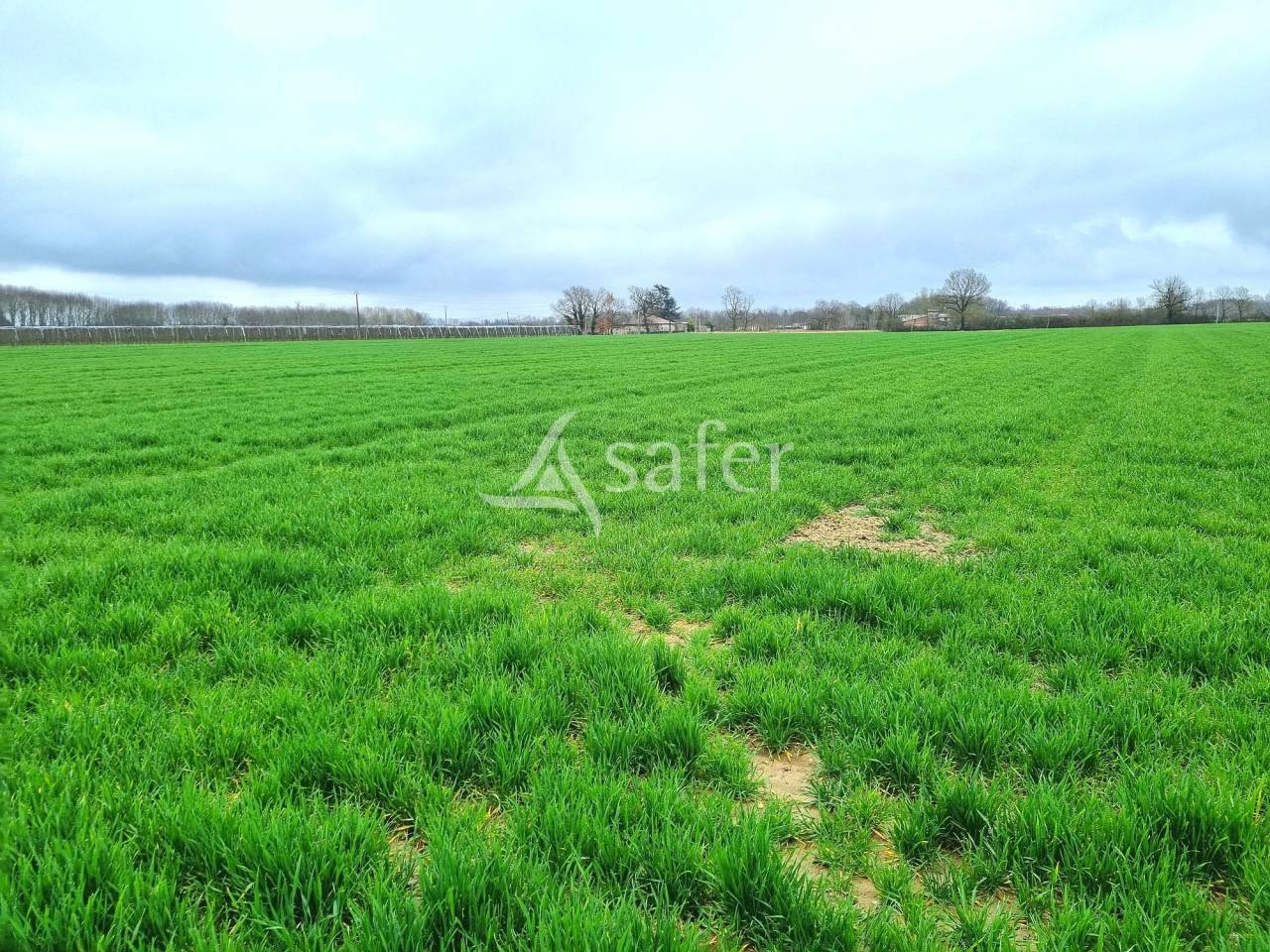 Other agricultural property  Tarn-et-Taronne