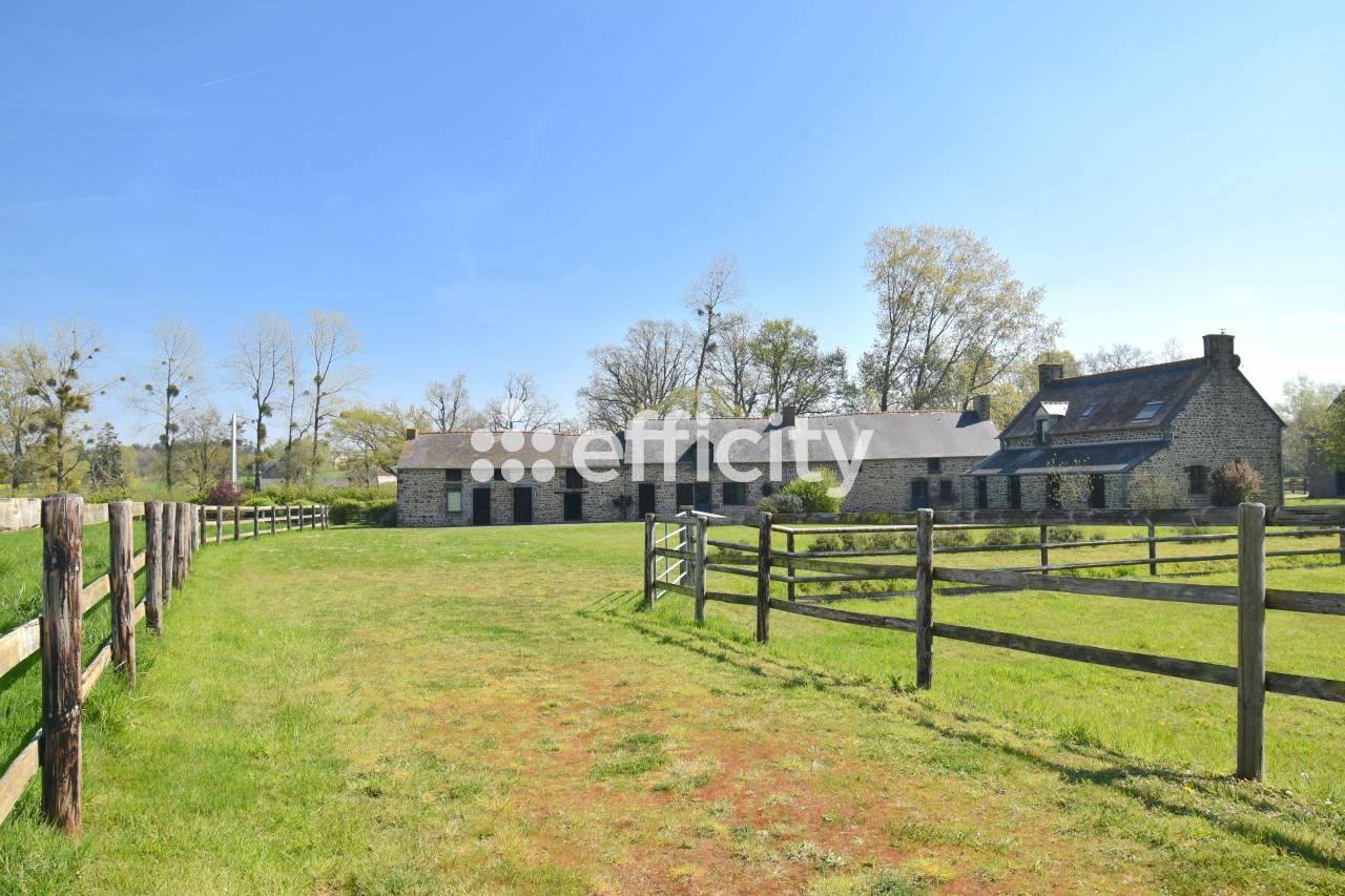 Equestrian property  Ile-et-Vilaine