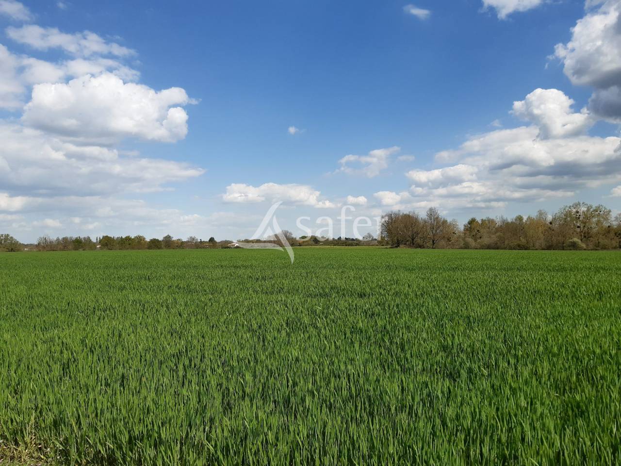 Other agricultural property  Deux-Sèvres