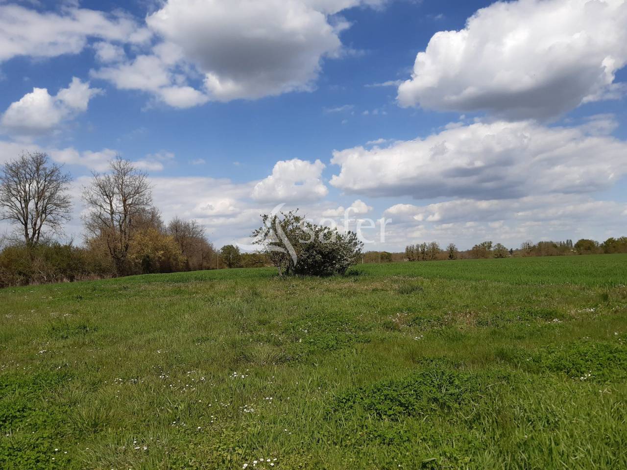 Other agricultural property  Deux-Sèvres