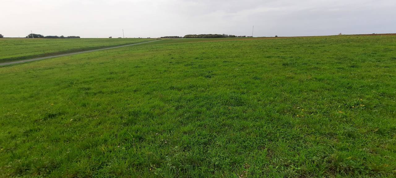 Equestrian property  Vendée