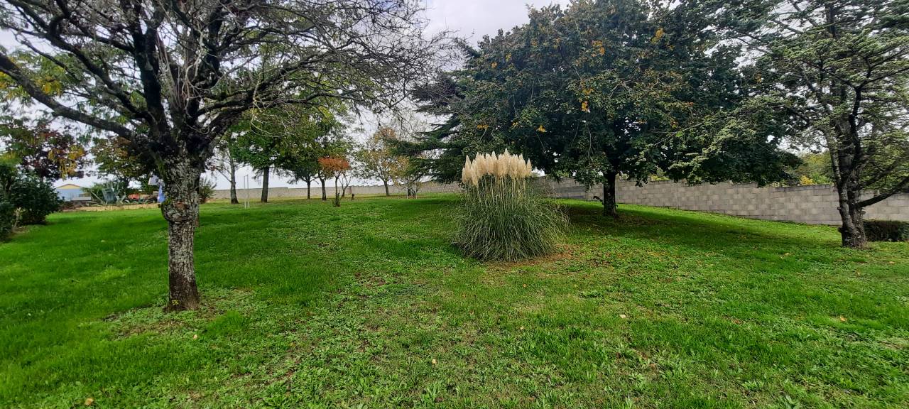 Equestrian property  Vendée