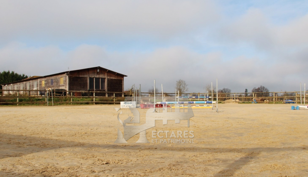 Equestrian property  Ain