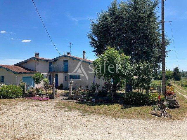 Vegetable farm  Lot-et-Garonne