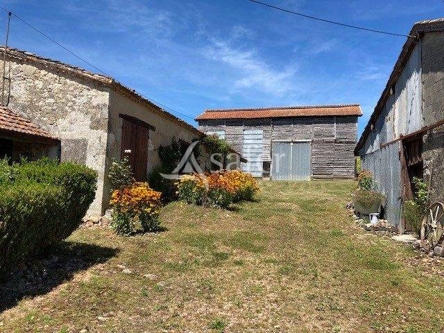 Vegetable farm  Lot-et-Garonne
