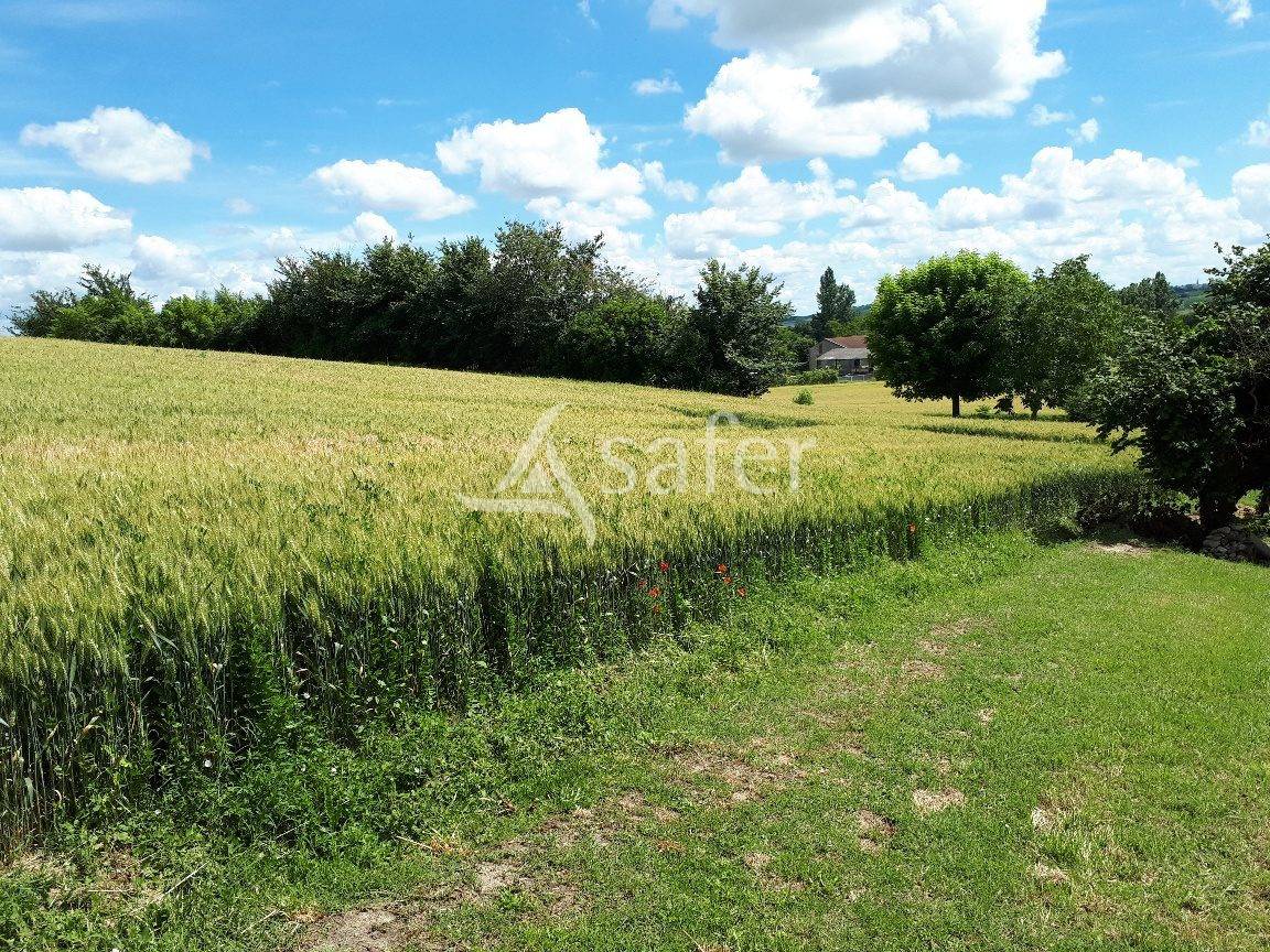 Vegetable farm  Lot-et-Garonne