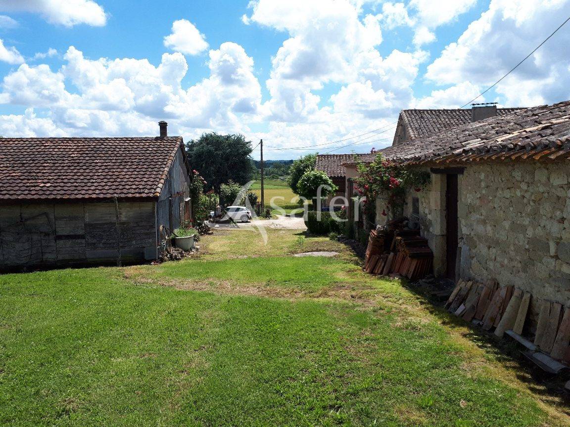 Vegetable farm  Lot-et-Garonne