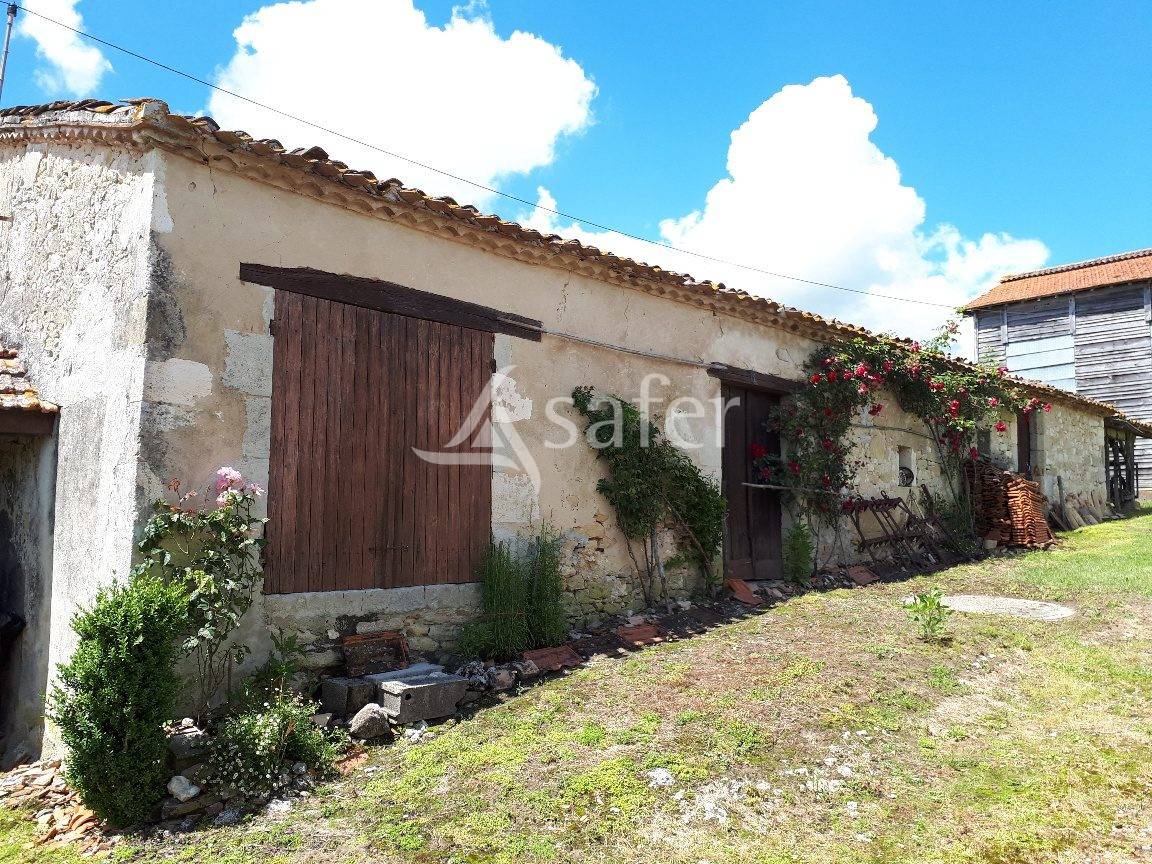 Vegetable farm  Lot-et-Garonne