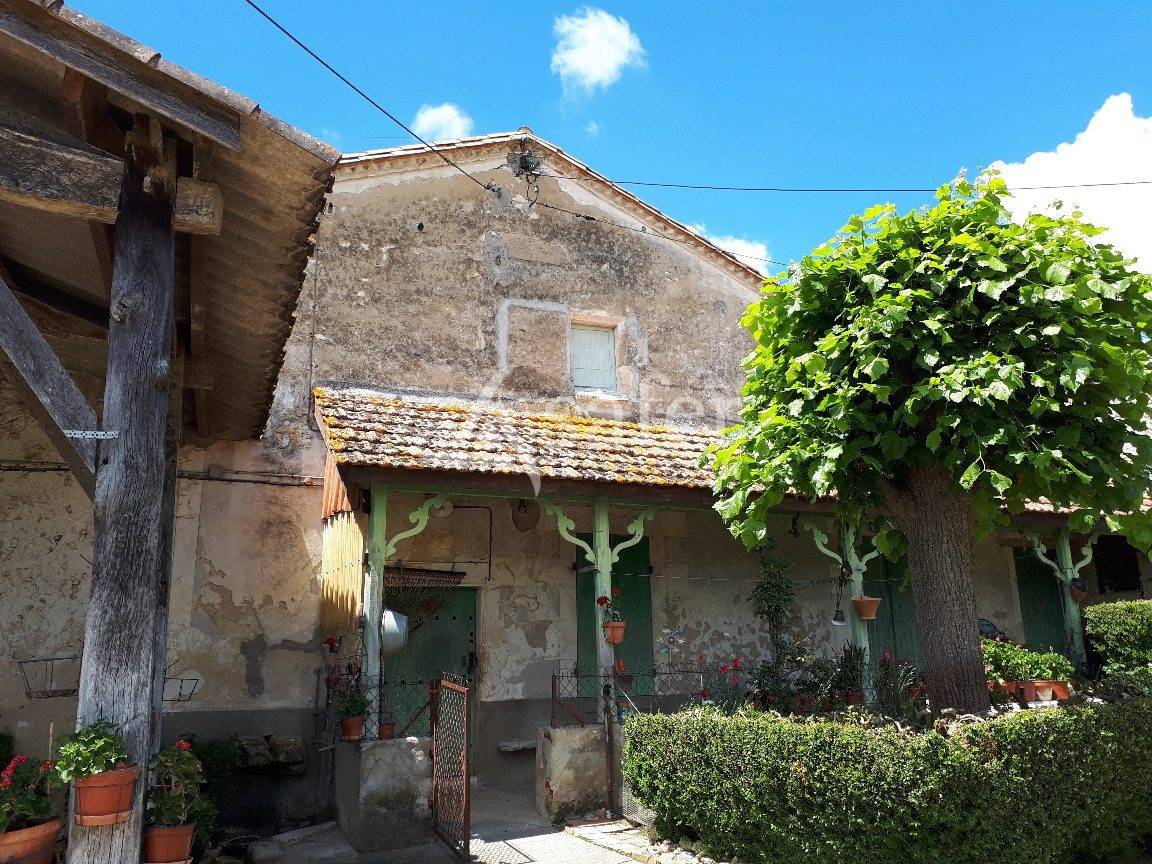 Vegetable farm  Lot-et-Garonne
