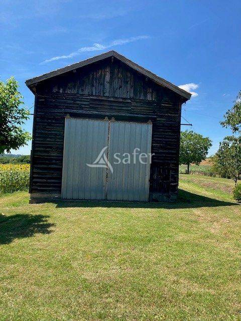 Vegetable farm  Lot-et-Garonne