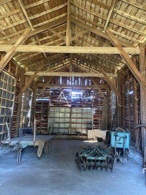 Vegetable farm  Lot-et-Garonne