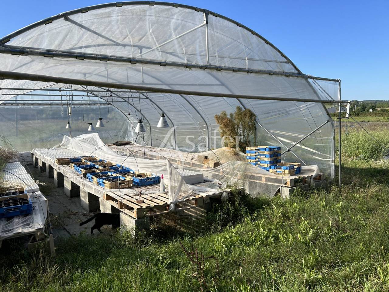 Vegetable farm  Lot-et-Garonne