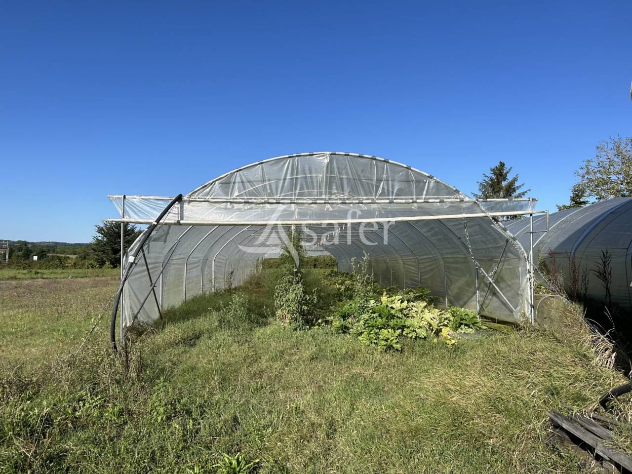 Vegetable farm  Lot-et-Garonne
