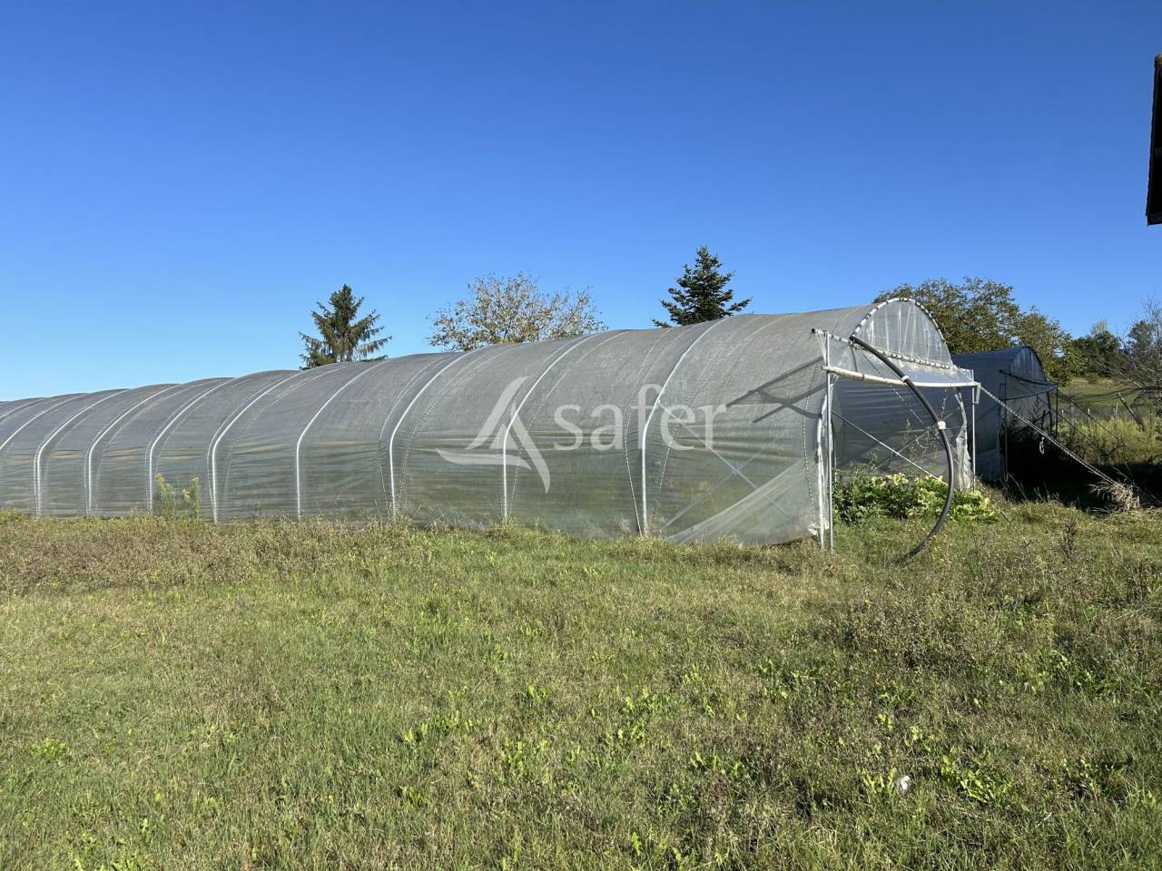 Vegetable farm  Lot-et-Garonne