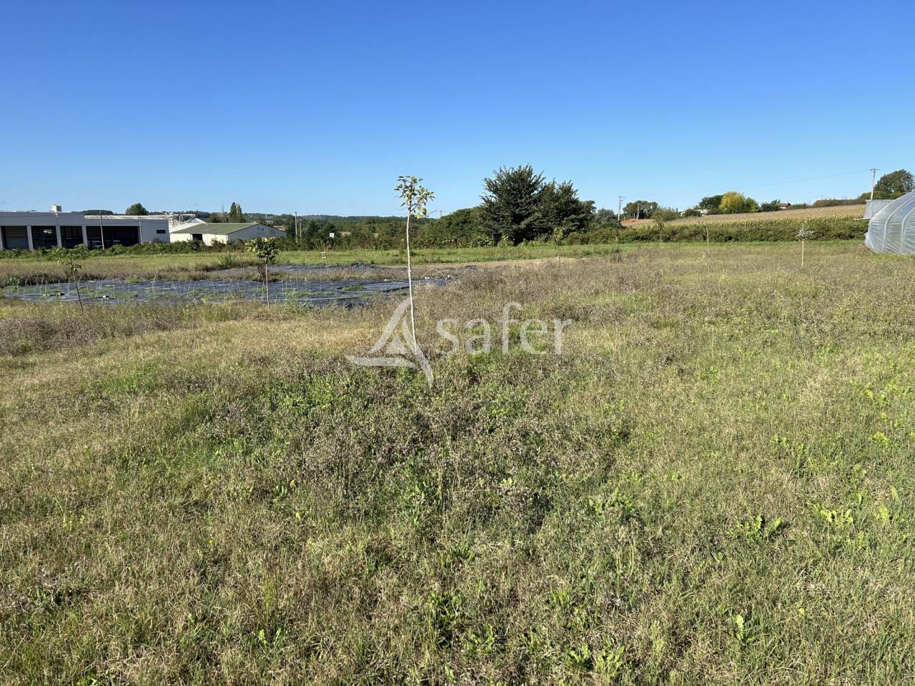 Vegetable farm  Lot-et-Garonne