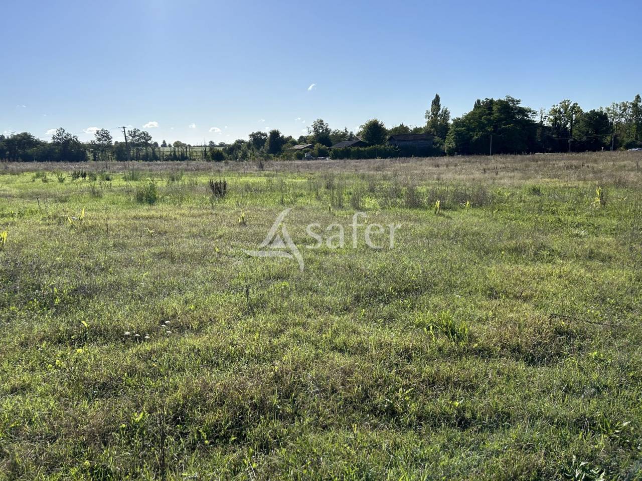Vegetable farm  Lot-et-Garonne