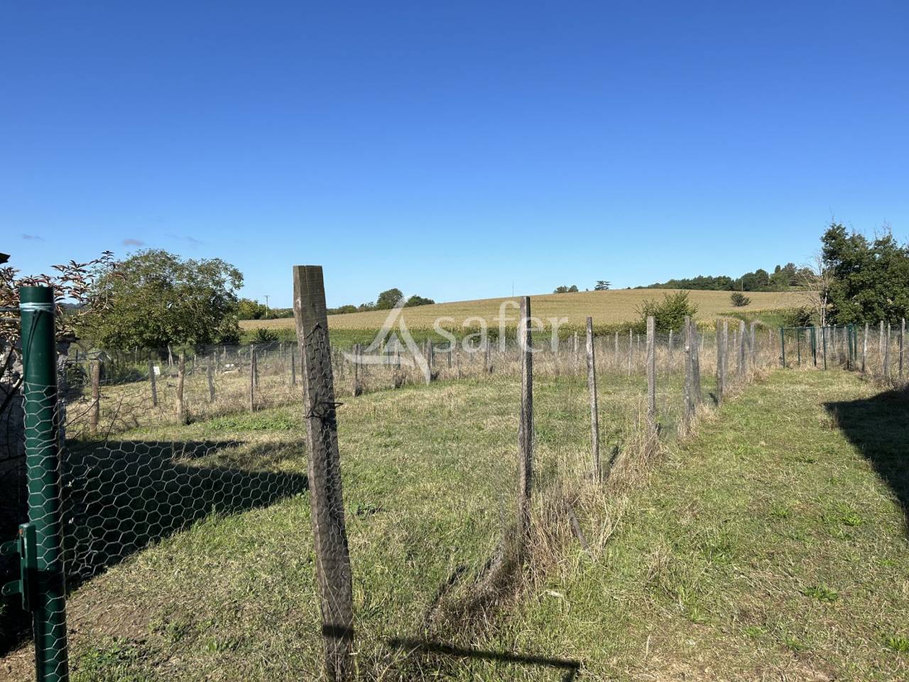Vegetable farm  Lot-et-Garonne
