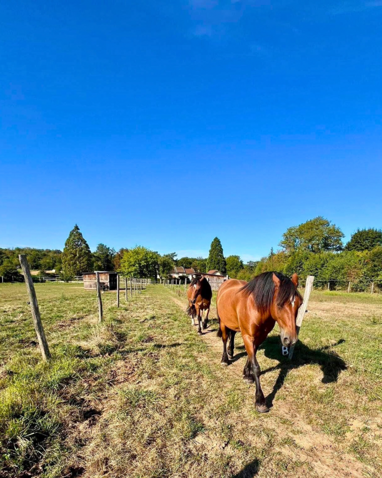 Equestrian property  Isère