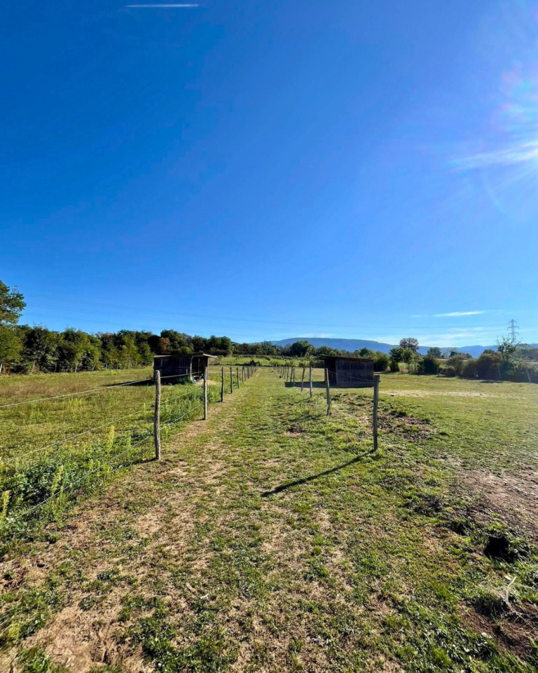 Equestrian property  Isère