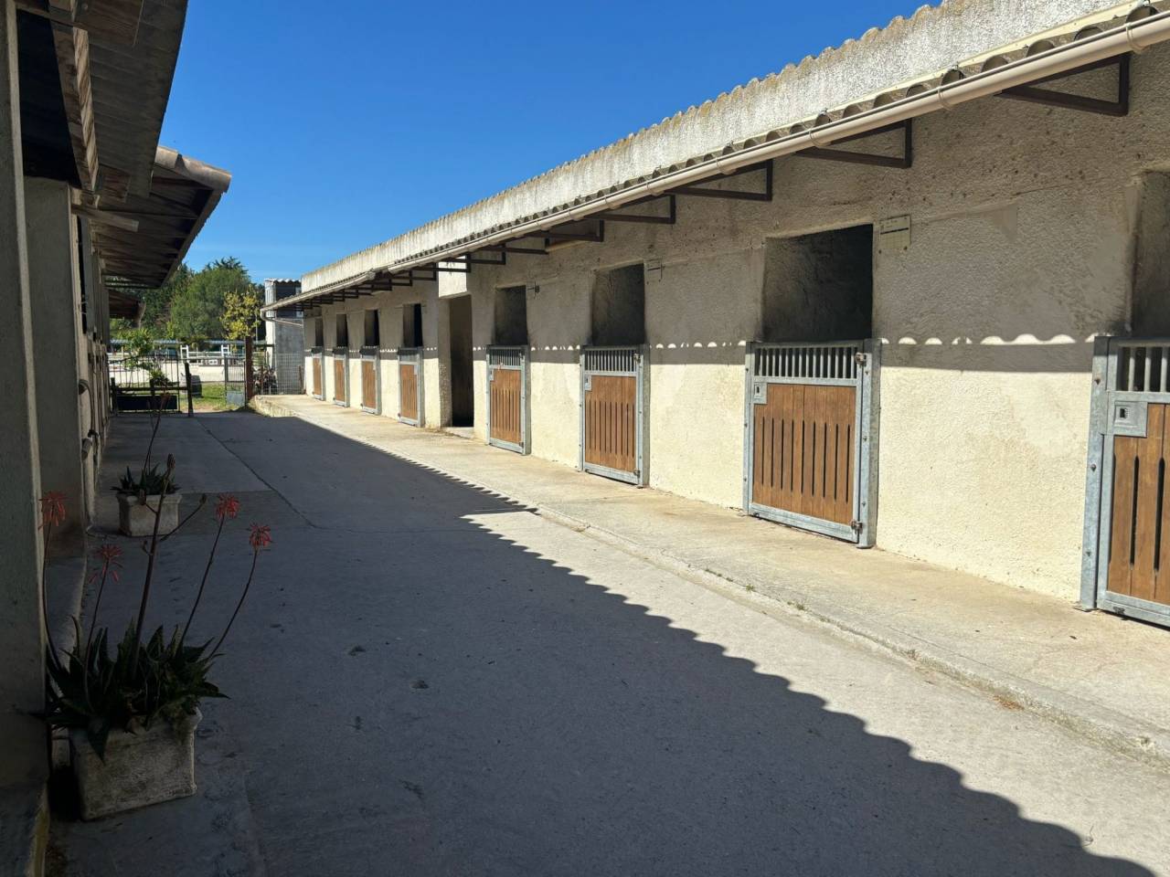 Equestrian property  Hérault