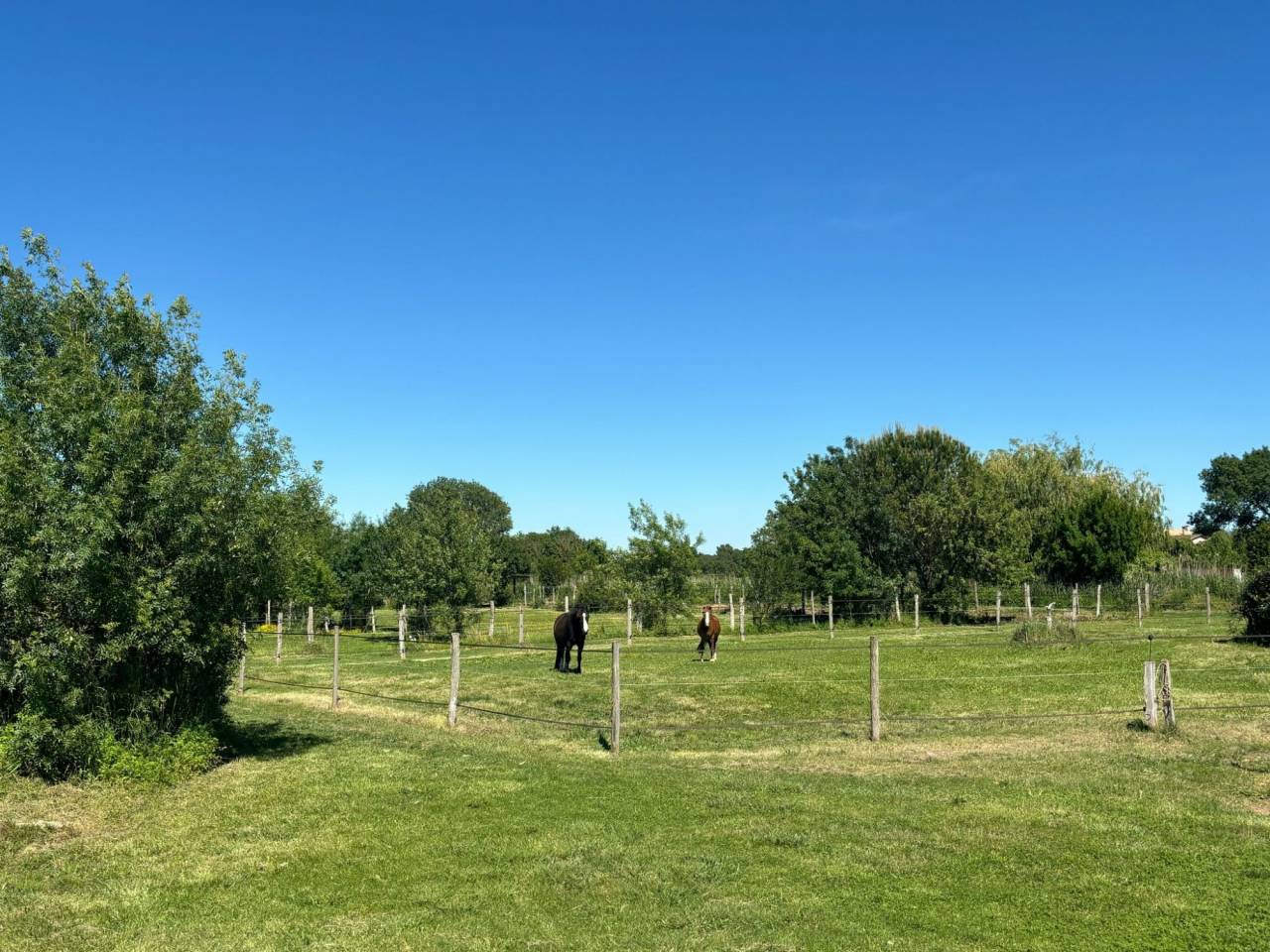 Equestrian property  Hérault