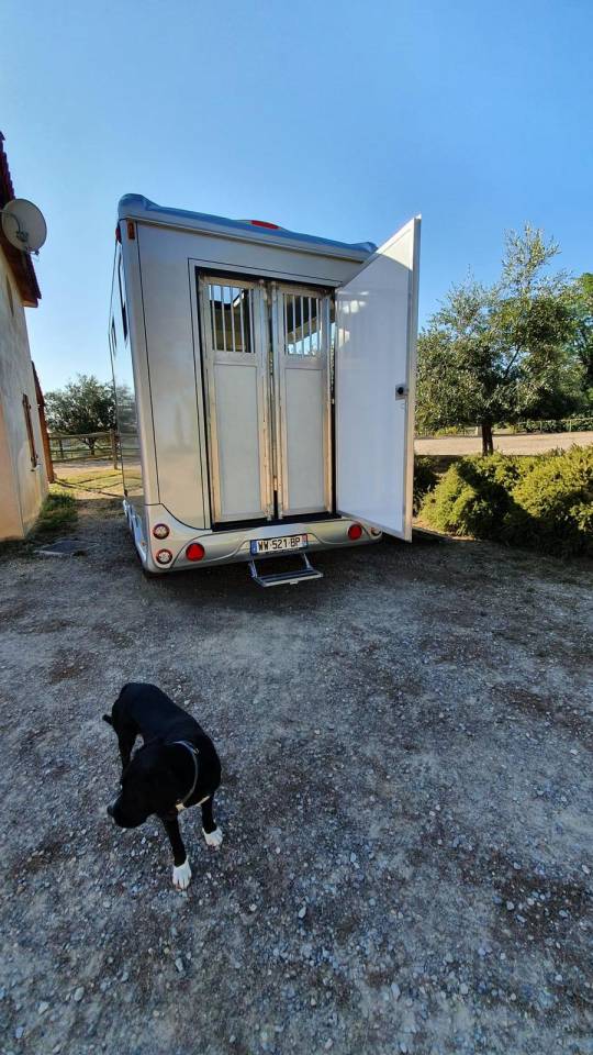 Horse trailer - Other brand - Anka 2 Stalls 2022 Used