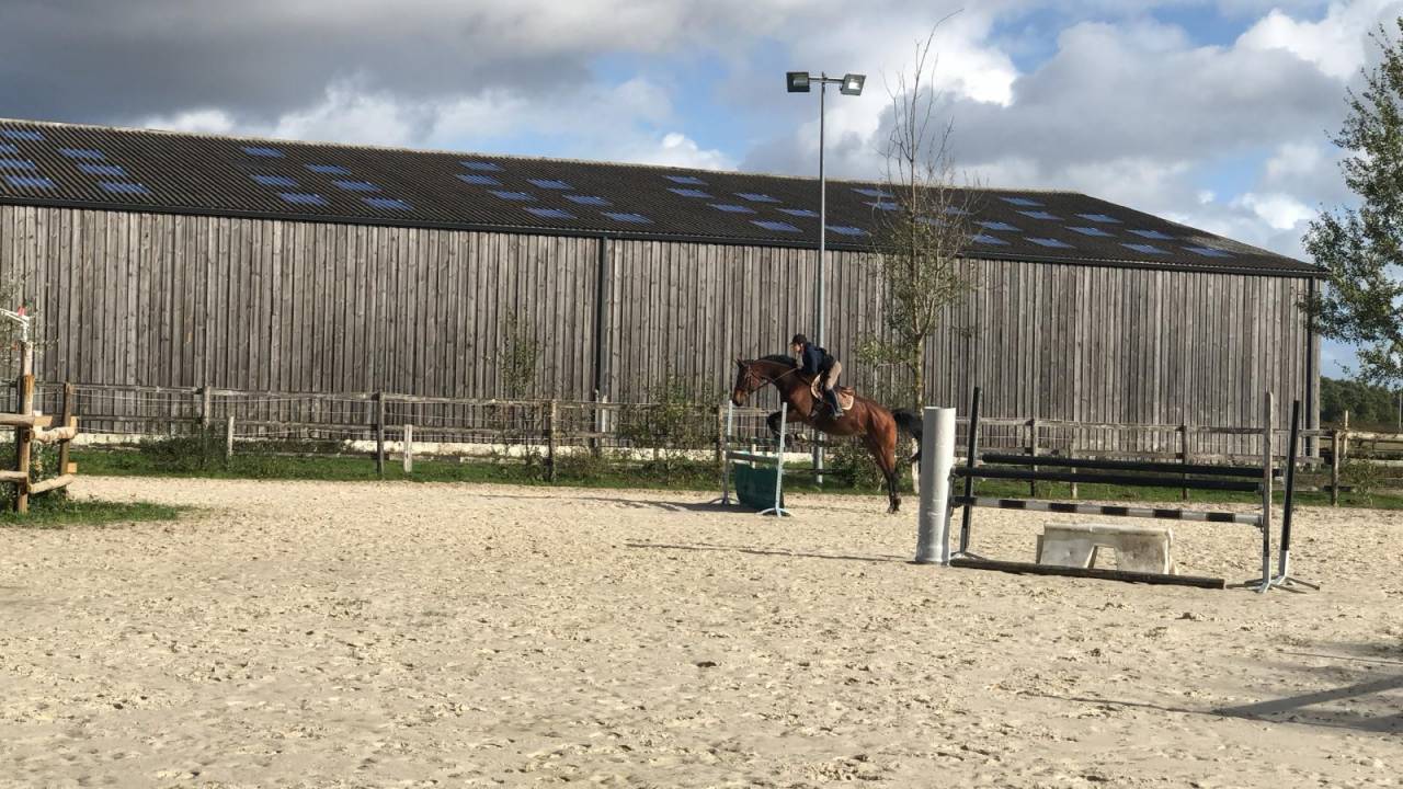 Livery yard  Eure-et-Loir