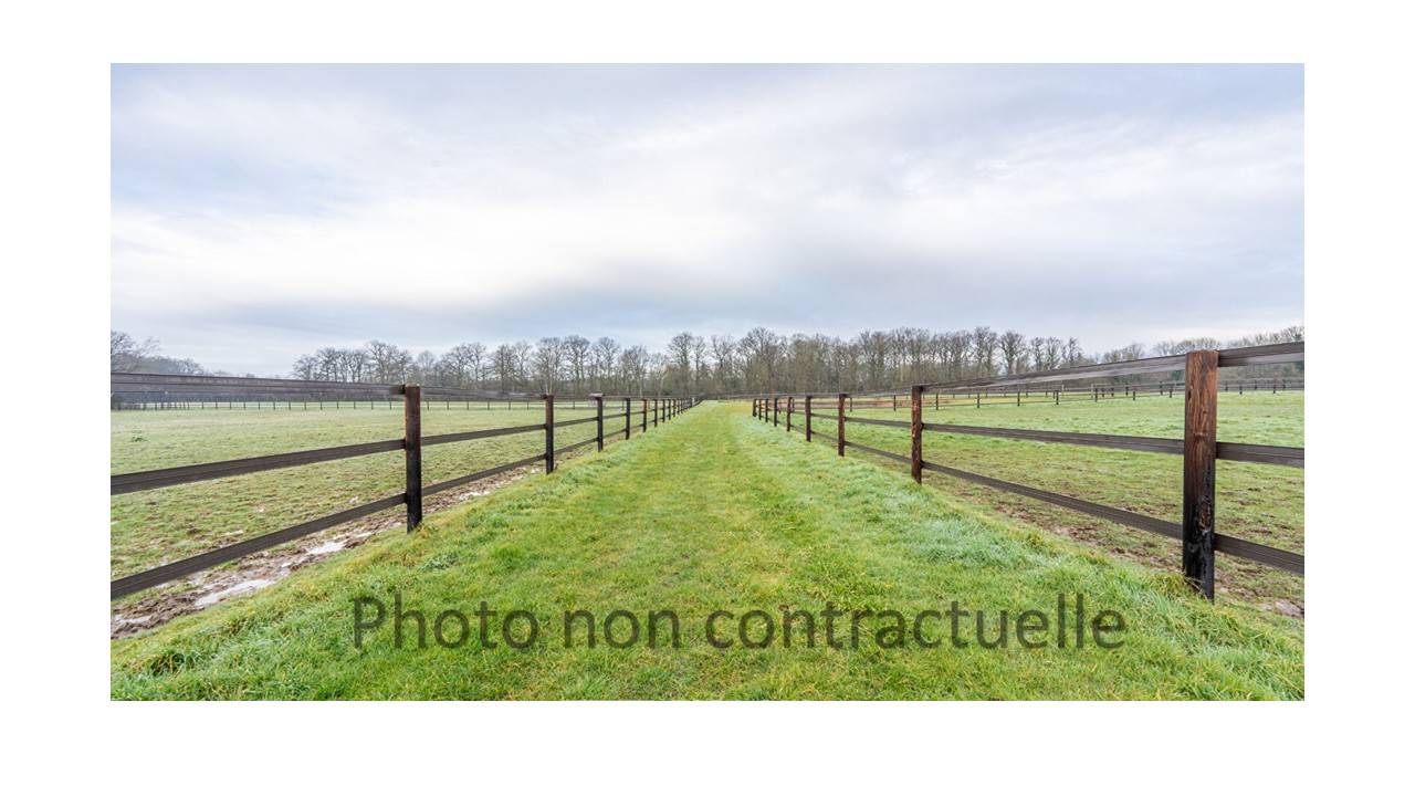 Luxurious equestrian property  Ain