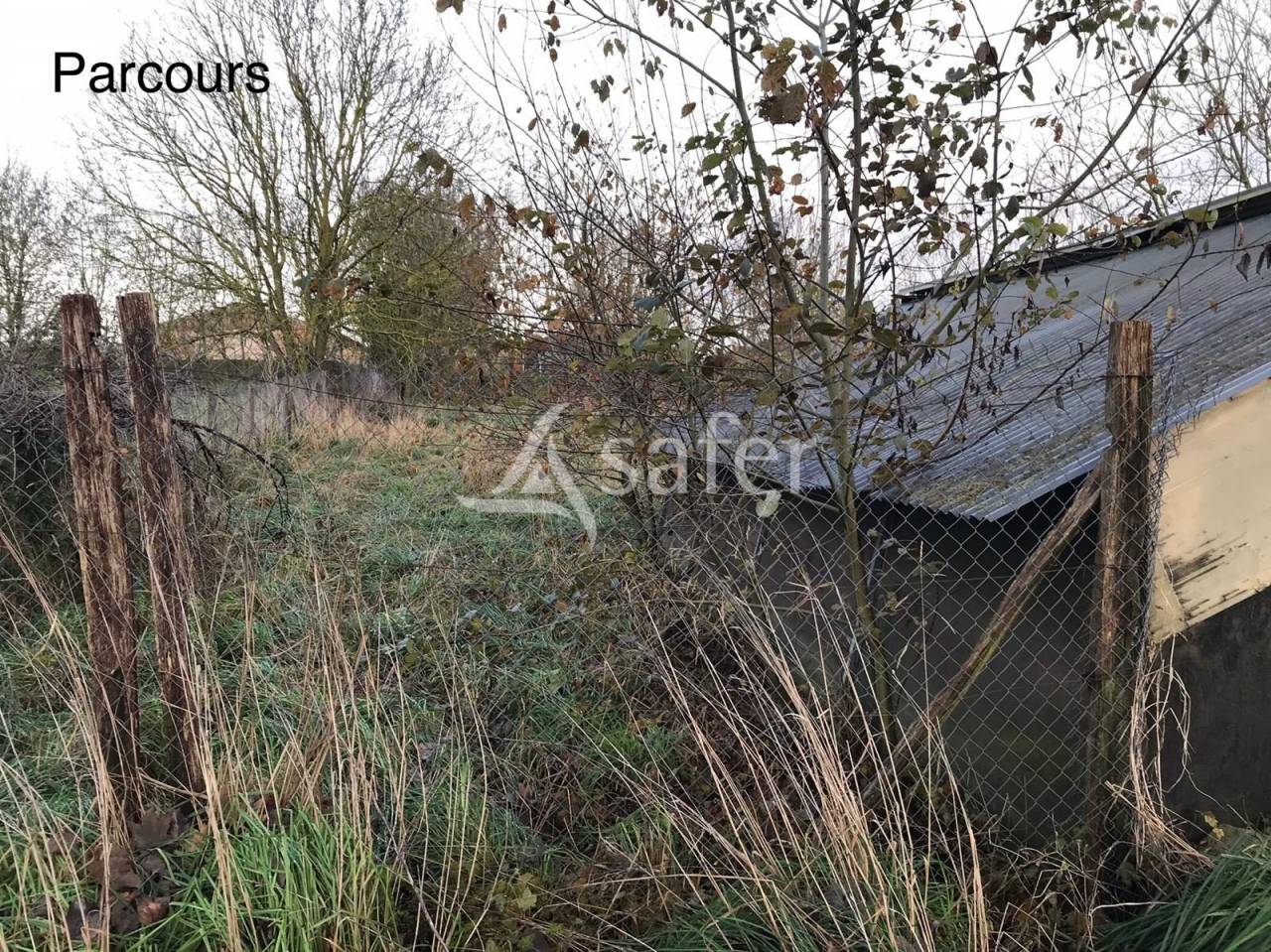 Poultry farm  Val-d'Oise