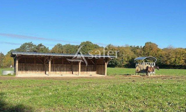 Equestrian property  Eure