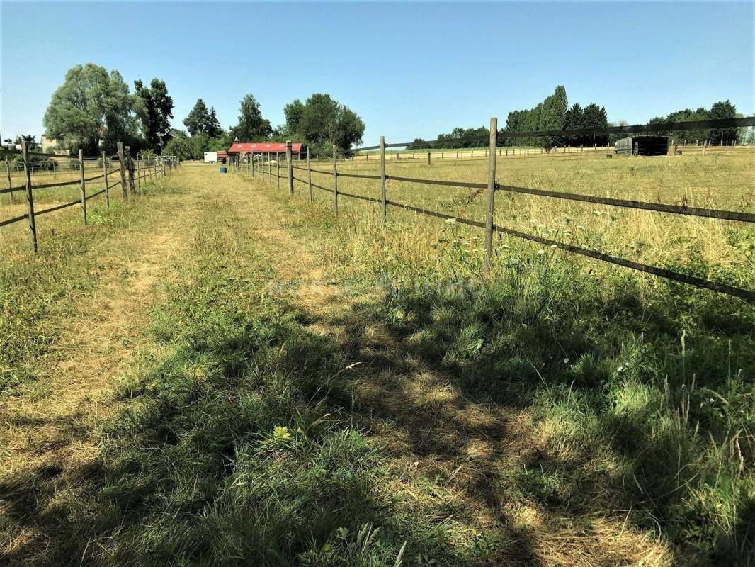 Equestrian property  Seine-et-Marne