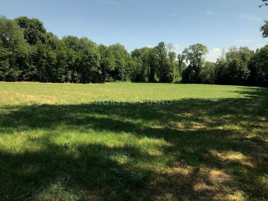 Equestrian property  Seine-et-Marne