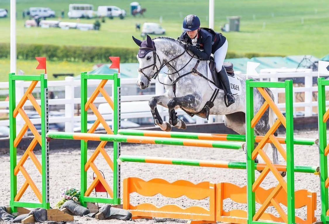 For Sale: Brilliant Fein Cera