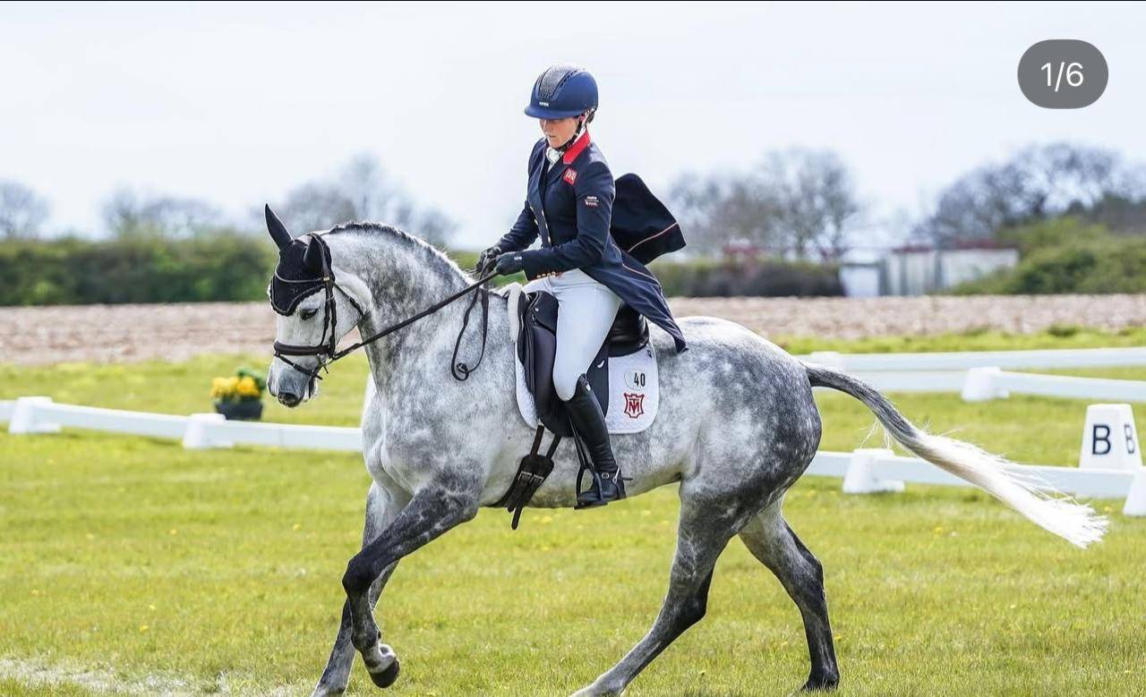 For Sale: Brilliant Fein Cera