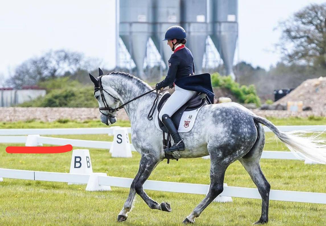 For Sale: Brilliant Fein Cera