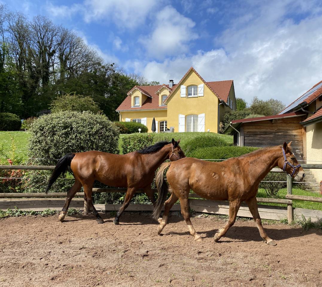 Luxurious equestrian property  Haute-Saône
