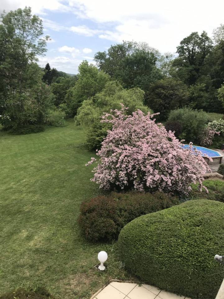 Luxurious equestrian property  Haute-Saône