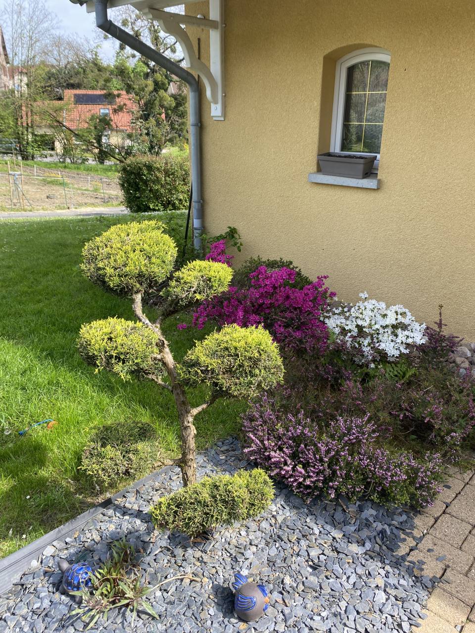 Luxurious equestrian property  Haute-Saône