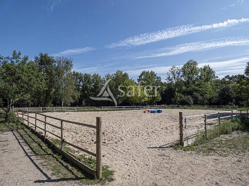 Equestrian property  Vendée