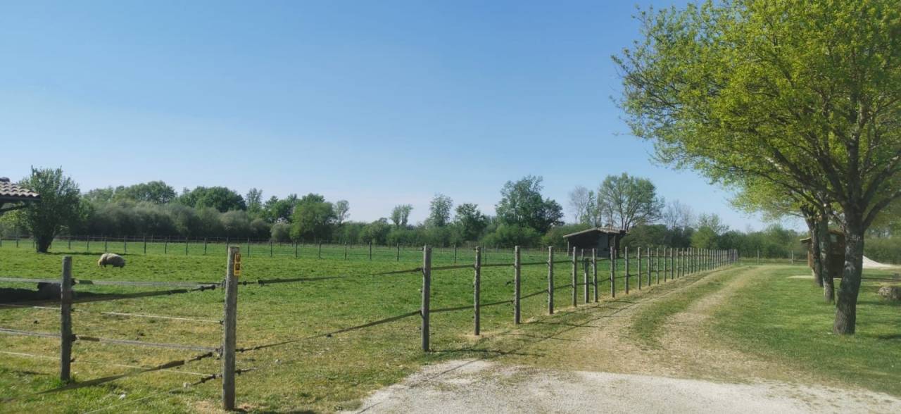 Equestrian property  Gironde