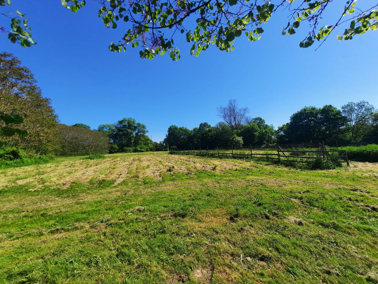 Luxurious equestrian property  Charente-Maritime