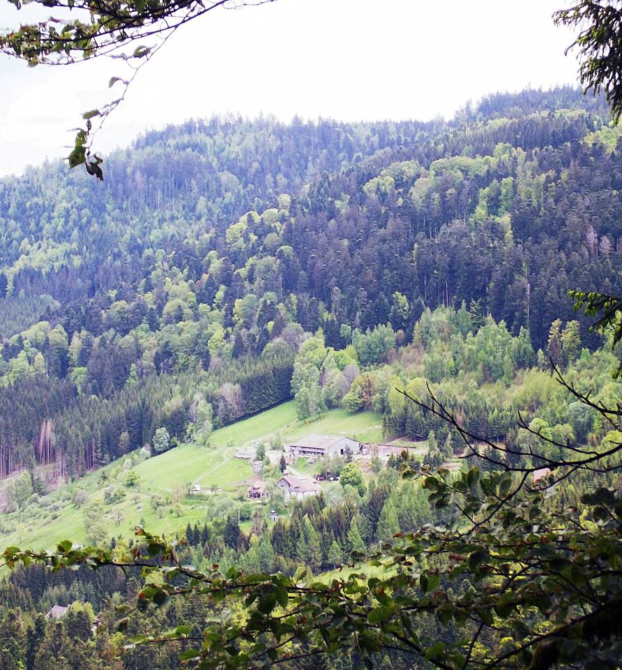 Other - Other contract Other - Vosges France